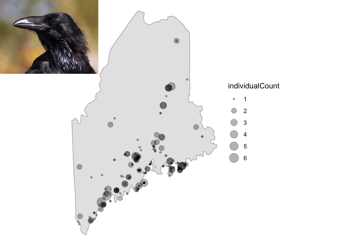 Fig. 1. Records for common raven in Maine, 2018.